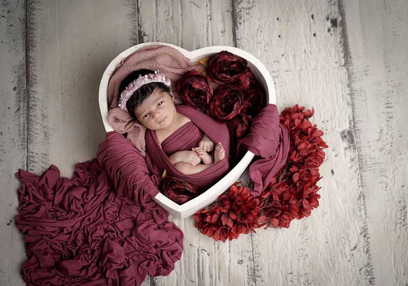 Newborn Photography price