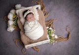Newborn Photography price list & packages in Bangalore