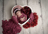 Props for Newborn Photoshoot | Newborn Photography Props