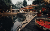 The Tamarind Tree Wedding Photography Cost