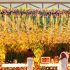 Wedding Photography at Aarambha